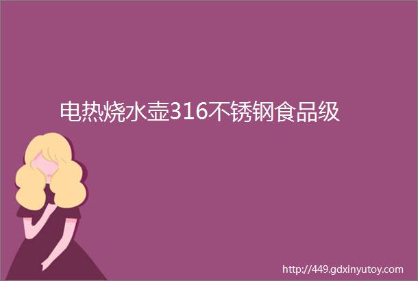 电热烧水壶316不锈钢食品级