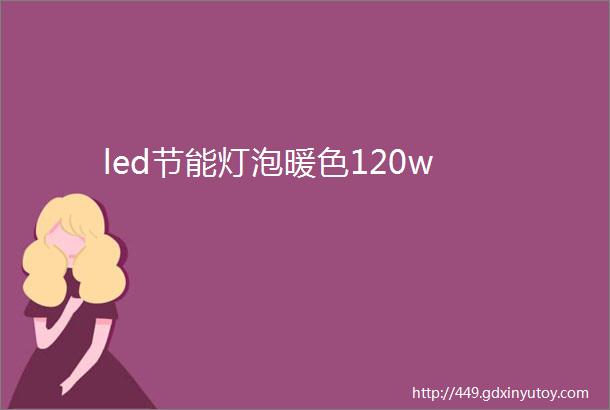 led节能灯泡暖色120w