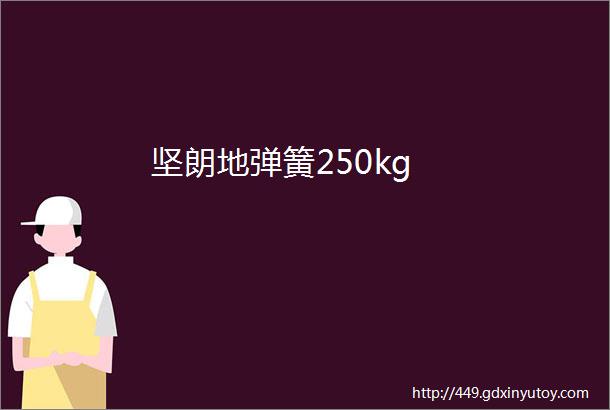 坚朗地弹簧250kg